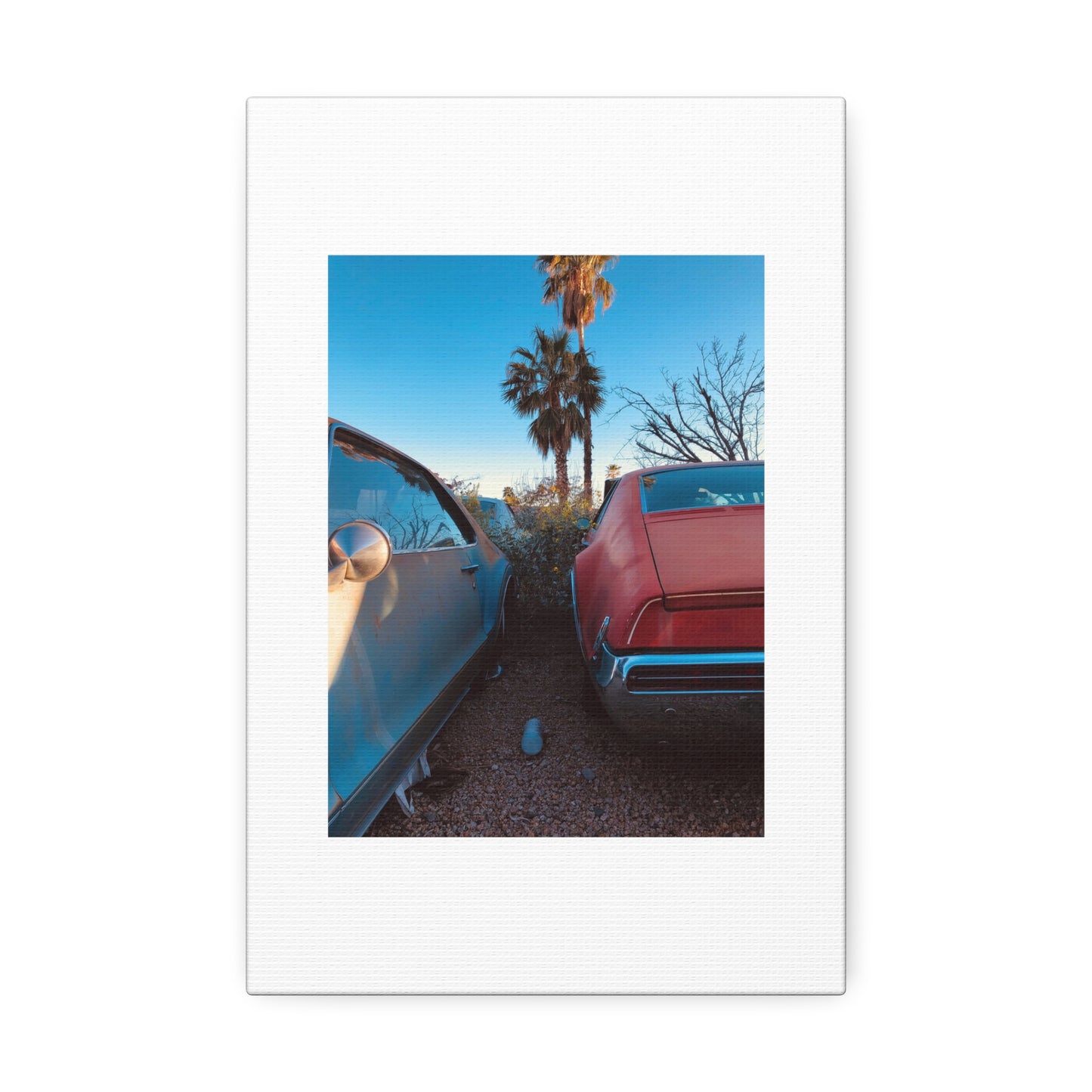 Cali Vibe Stretched Canvas