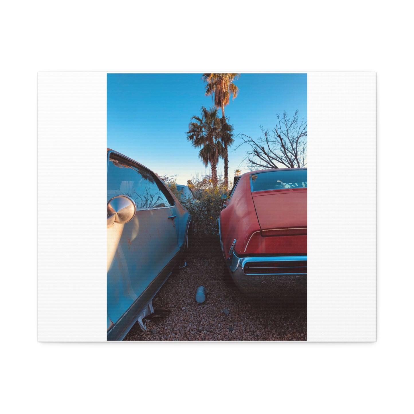 Cali Vibe Stretched Canvas