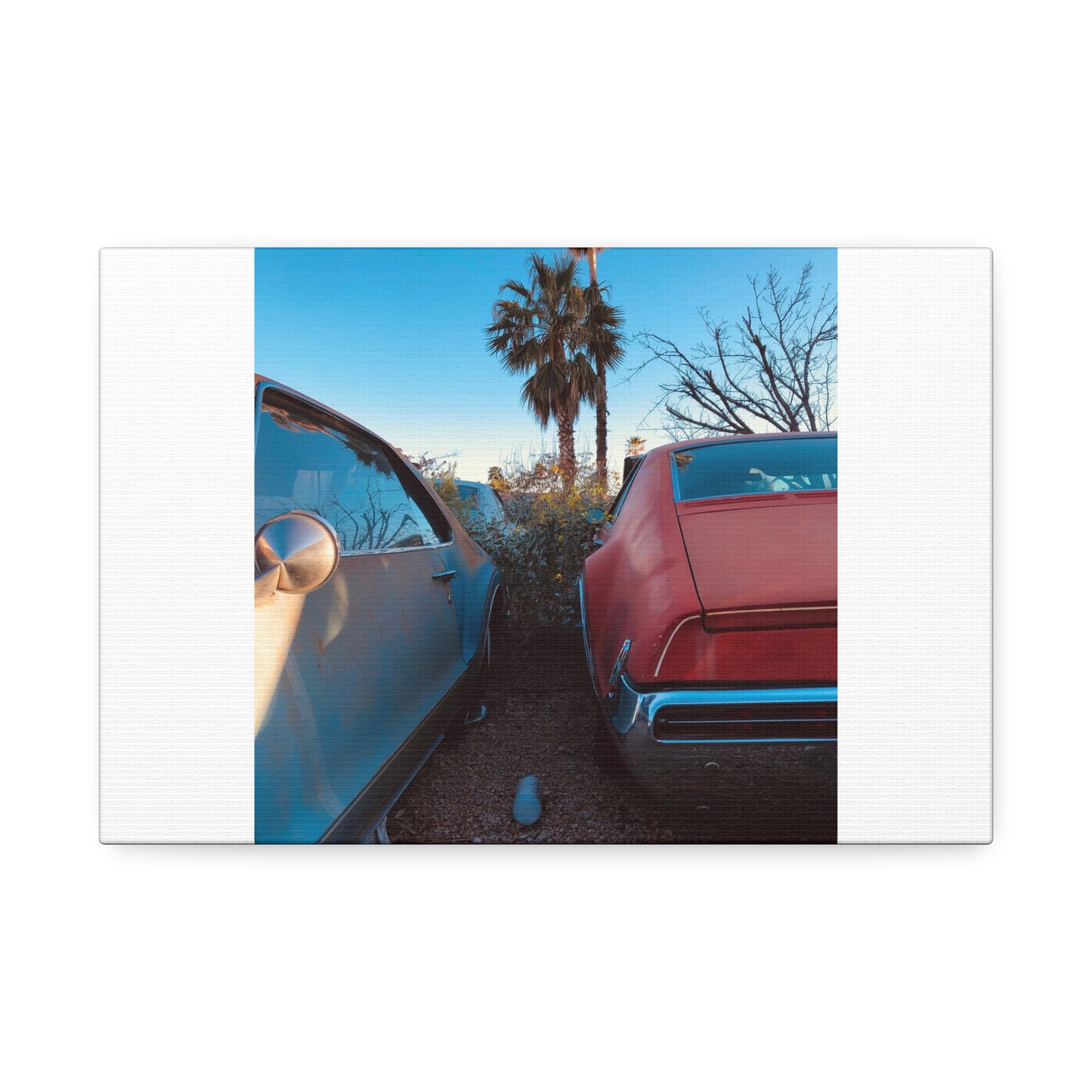 Cali Vibe Stretched Canvas