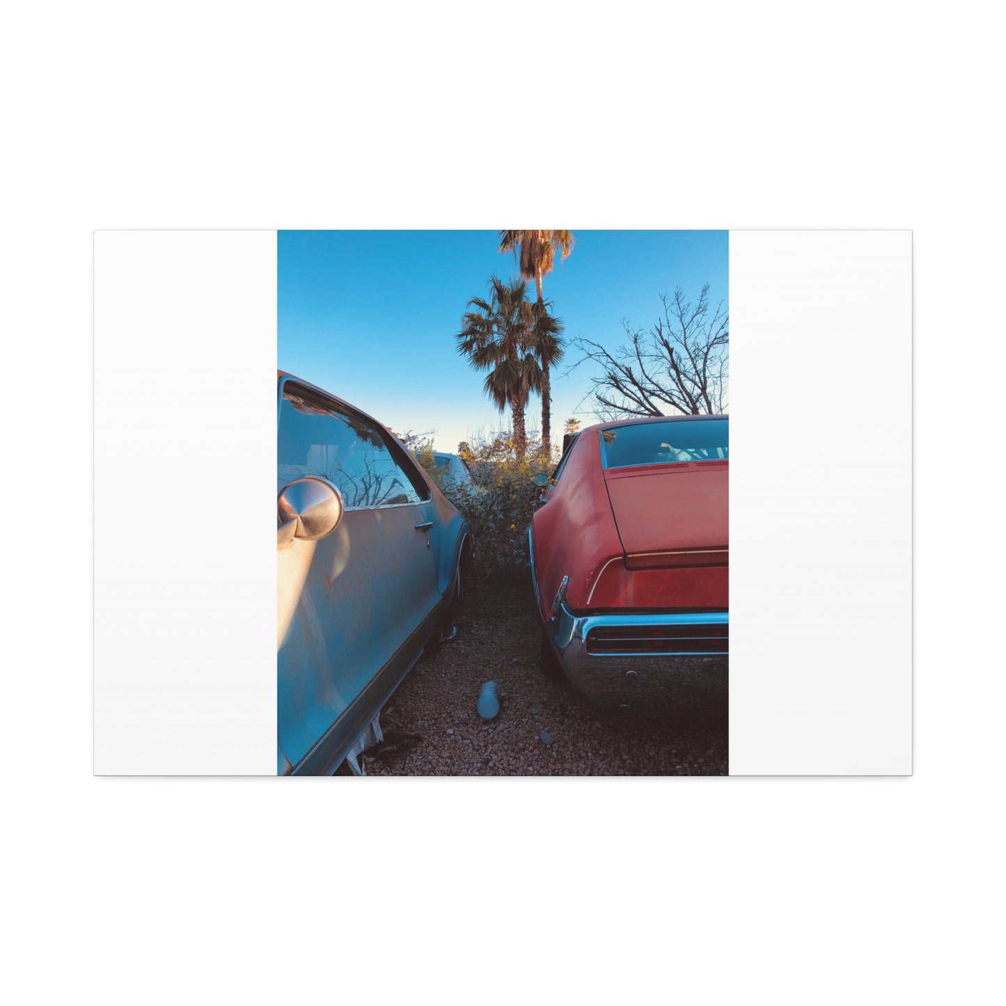 Cali Vibe Stretched Canvas