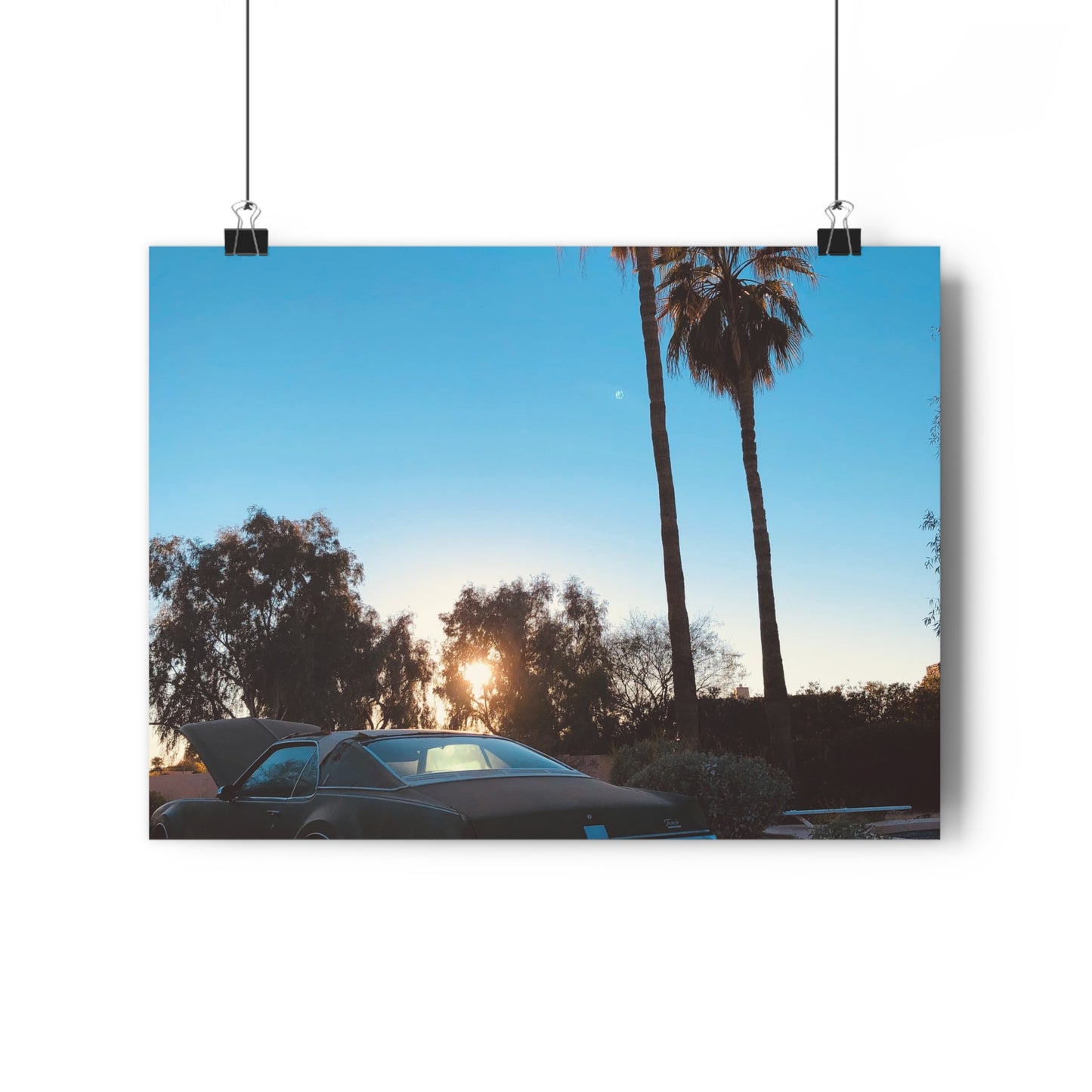 Cali Vibe Art Print